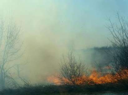 Пожар горя край поморийското село Каменар