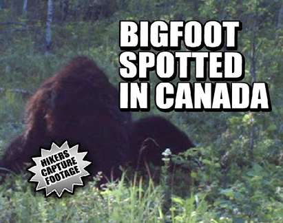 Голямата стъпка се появи в Канада, ловци тръгнаха по седите на звяра