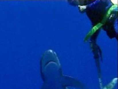 Акула нападна най-нещастния човек на света