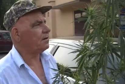 Нашият клип с марихуанената нива край Бургас е абсолютен хит в мрежата