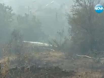 Пожарът край Локорско е овладян, боровата гора изгоря