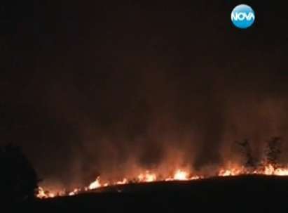 Гори гората край Турция, пожарът в Сакар планина се разраства