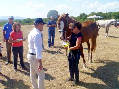 18 коня се бориха за издържливост край Приморско
