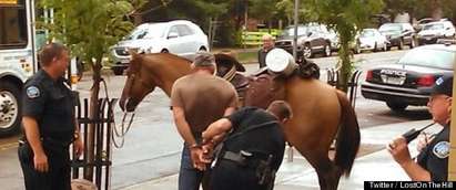 Арестуваха пиян “каубой”, защото биел коня си