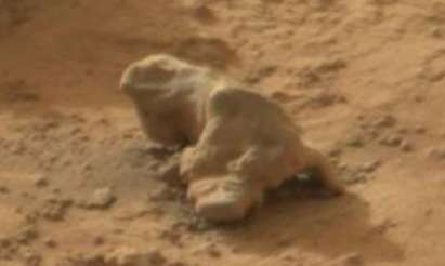 Откриха вкаменена игуана на Марс (ВИДЕО)