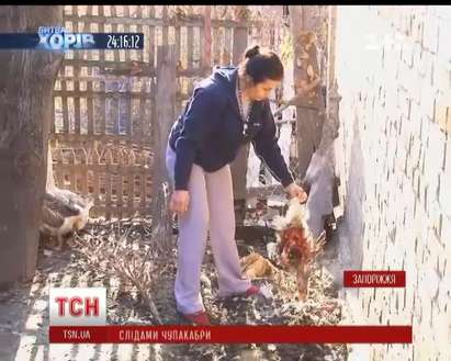 Чупакабра тероризира няколко села в Запорожие, пие кръв от кокошки и патки (ВИДЕО)