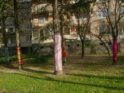 Пловдивчани плетат дрехи за дървета