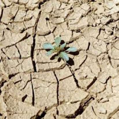 Учени: Тази година ще е най-горещата заради Ел Ниньо