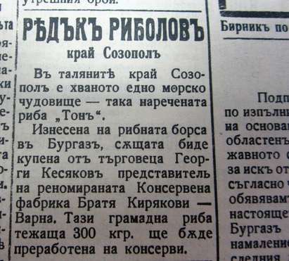 Ретро! 300-килограмово чудовище хванали рибарите от Созопол в далечната 1938 година