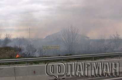 Подпалиха лозята на бившия министър Вилхелм Краус край Поморие