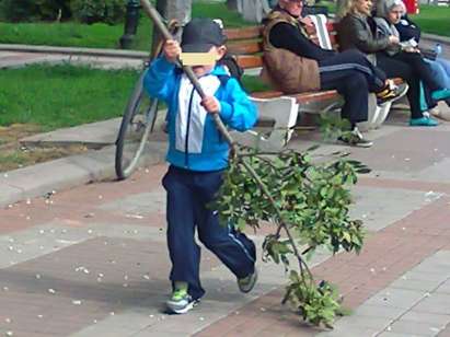 Дете изтръгна дърво от центъра на Поморие, майката се радва на "подвига" му