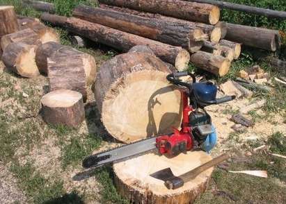 Резачка за дърва обезглави помориец