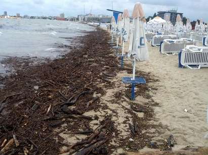 Плажът в Слънчев бряг се напълни с боклуци