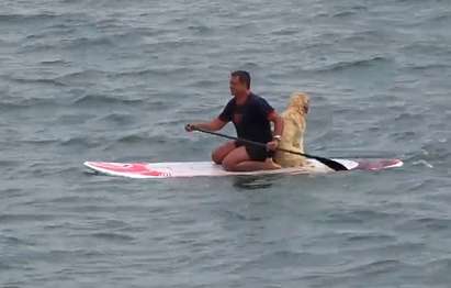 Смел бургазлия пори на дъска вълните до остров Света Анастасия с кучето си Чарли (ВИДЕО)