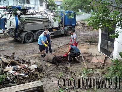 Бели лястовици спасяват манастира „Св. Богородица“ край Бургас, вижте уникални кадри от акцията им (СНИМКИ)