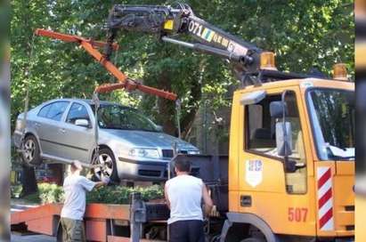 Паяк рекетира туристи в Слънчев бряг