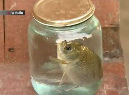 И Бяла Слатина е под водата, кметът разнася храна и вода с надуваем дюшек