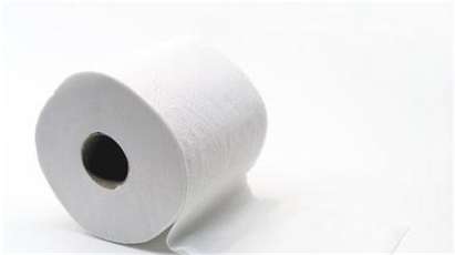 Митниците дават 50 хиляди лева за тоалетна хартия