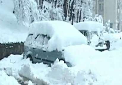 Остава бедствено положението в Габрово, снегът продължава да поваля дървета