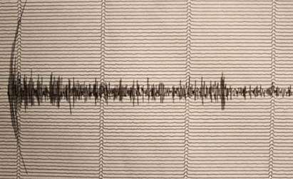 Земетресение от 4,5 по Рихтер люшна Вранча