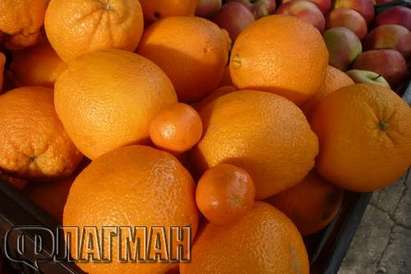 ГМО плодове и зеленчуци заливат магазините в Бургас, отровни ли са?