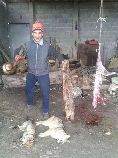 Потресаващи кадри! Мъж от Кюстендил убива и дере бездомни кучета (18+)