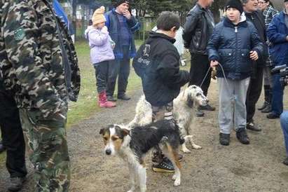 Подписка против тричането на кучета в Бродилово