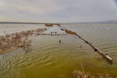Потопът не пощади и Атанасовското езеро, редки птици бягат от резервата заради сладката вода