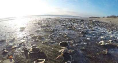Кански студ: Плажът край Бургас замръзна