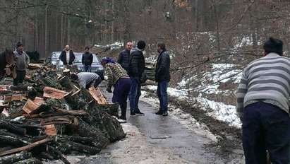 Масова сеч в Котел, дървосекачи блокираха пътя
