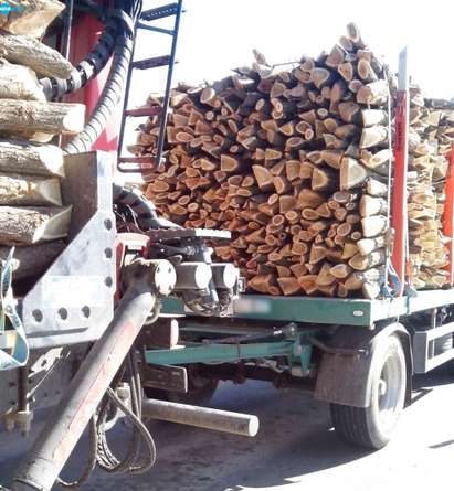 Забраната за износ на дървесина май не важи за всички фирми