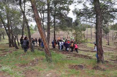 Община Бургас засади 72 хил. дръвчета-благунчета