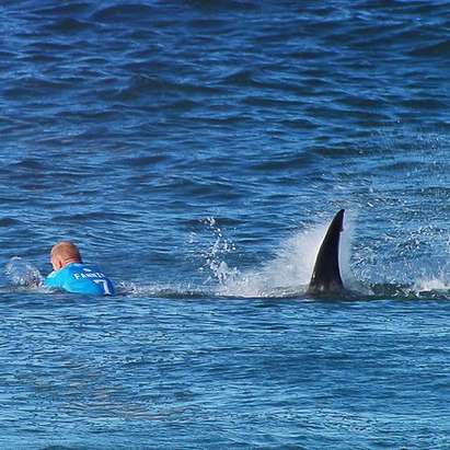 Сърфист се спаси от акула с ритници (ВИДЕО)