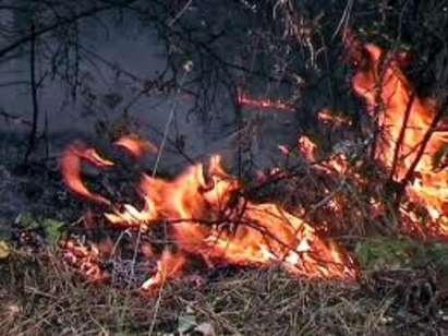 Внимание! Сезонът на пожарите започна, вижте какво да не правите