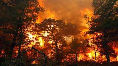 Червен код за опасност от пожари в Бургаска област
