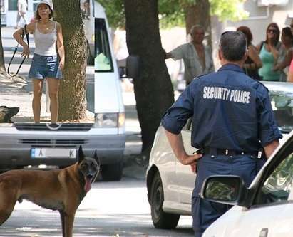 Ето го свирепия пес, който повали възрастна жена край Стоматологията в Бургас