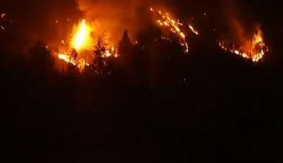 18 пожара бушуват в Калифорния, 12 000 пожарникари се борят с огнената стихия
