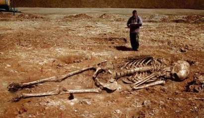 В Еквадор откриха скелет на 7-метров великан