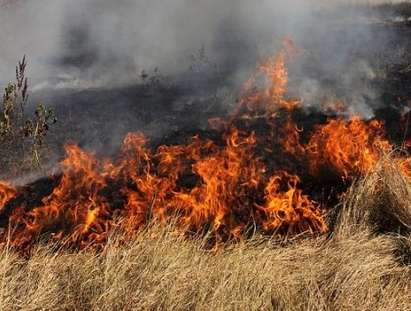 Пожар избухна край средецкото село Граничар