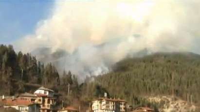 Ужасяващият пожар изпепели 300 дка иглолистна гора край Смолян, няма нови огнища