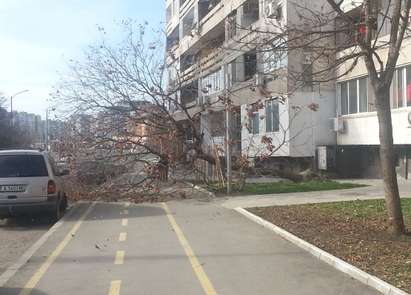 Ураганният вятър събори дърво в „Меден рудник“