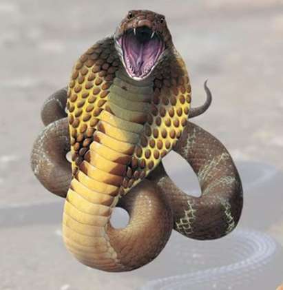 Мъж уби кобра с голи ръце, отмъщавайки за смъртта на сина си (ВИДЕО 18+)