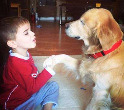 Подаряват първото куче-терапевт в България на момче от Бургас