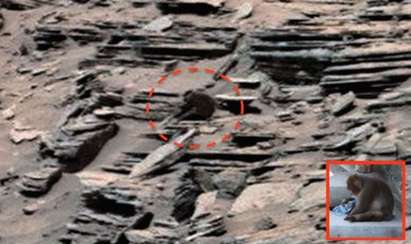Уфолог откри маймуна на снимка от Марс