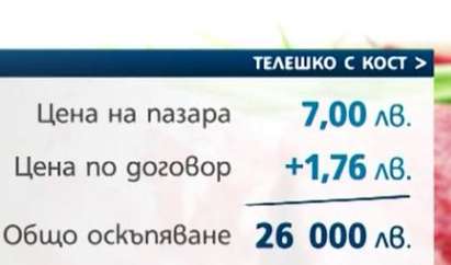 Въртят далавери с храната за бежанци, купуват телешко месо на завишени цени