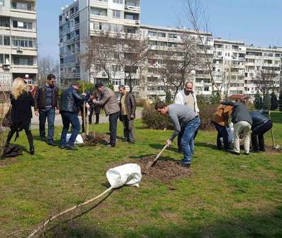 Предприемачи от ГЕРБ засадиха 30 дръвчета в к-с „Меден рудник”