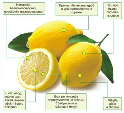 Убива ли лимонът раковите клетки