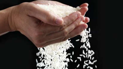 Вижте вълшебните лечебни свойства на различните сортове ориз
