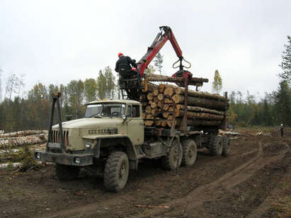 Тежък удар по българската икономика! Турция спря вноса на дървесина, суровина за 2 млн.лв. залежава в Странджа