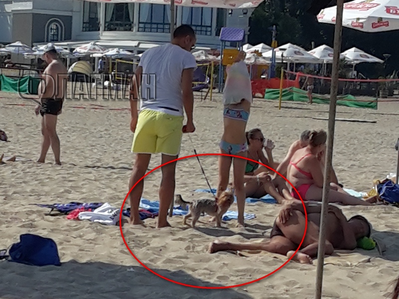 Напук на правилата! Млад мъж се къпе с куче на плажа в Бургас
